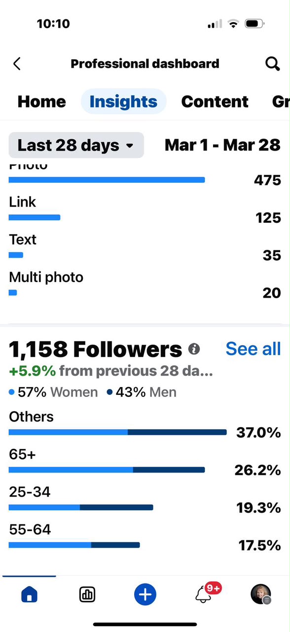 Facebook insights — audience composition